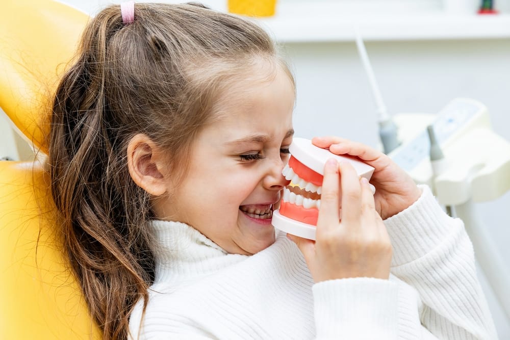 girl playing with teeth model - Pediatric Dentist in Kissimmee