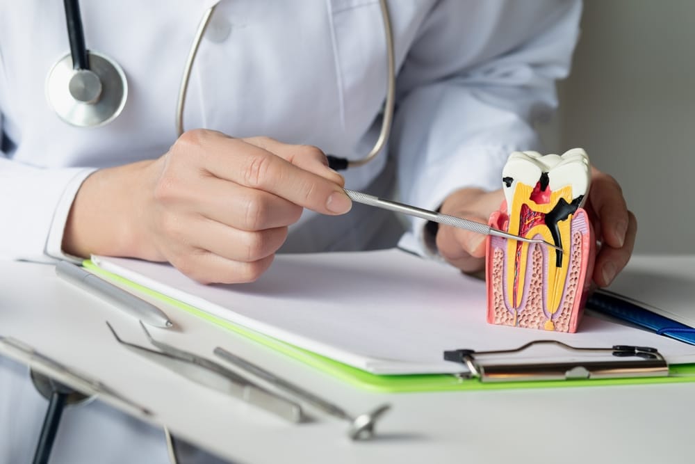 dentist explaining tooth damage - Pediatric Dentist in Kissimmee